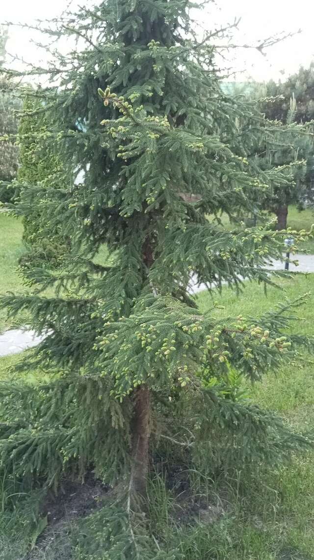 Гостиница Малый Китежъ Городец-144